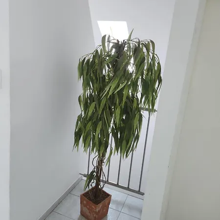 Goscinne U Marcina, Gaestezimmer Bei Martin