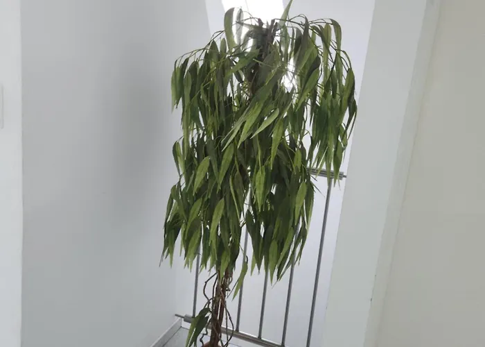 Goscinne U Marcina, Gaestezimmer Bei Martin